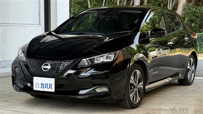 2022 Nissan Leaf