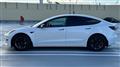 2021 Tesla Motors Others