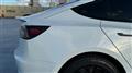 2021 Tesla Motors Others