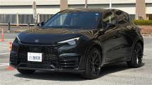 2025 Lexus Other