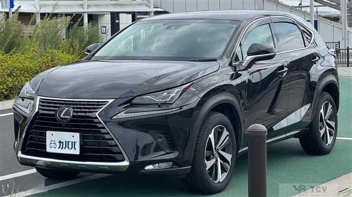 2018 Lexus NX