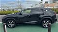 2018 Lexus NX