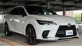 2025 Lexus RX