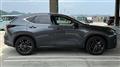 2022 Lexus NX
