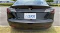 2021 Tesla Motors Others