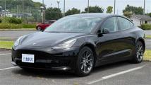 2021 Tesla Motors Others