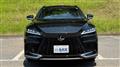 2025 Lexus RX