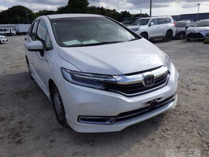 2021 Honda Shuttle
