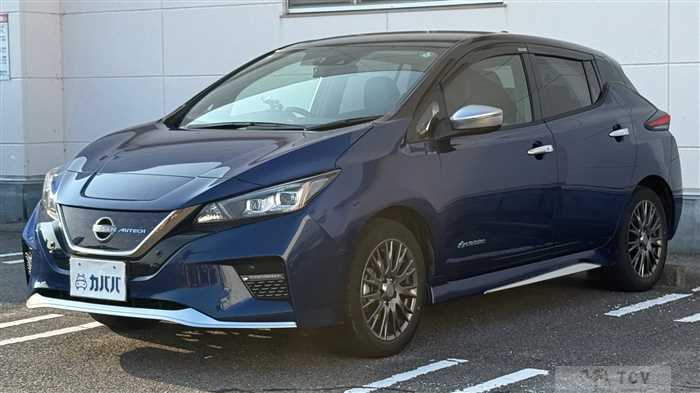 2021 Nissan Leaf