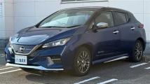 2021 Nissan Leaf