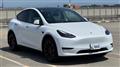 2023 Tesla Motors Others