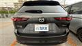 2022 Mazda Eunos Others