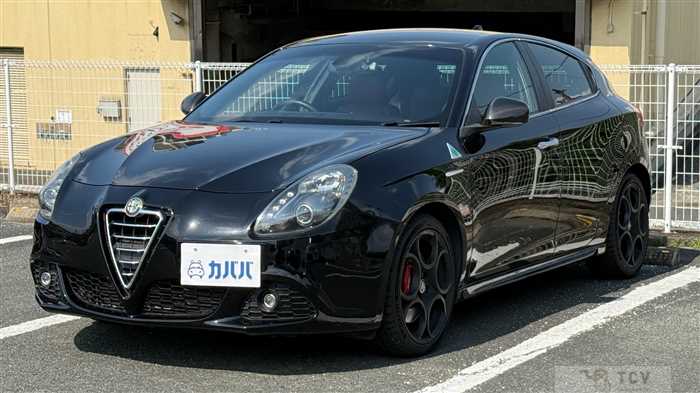 2014 Alfa Romeo Alfa Romeo Others