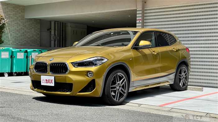 2019 BMW X2