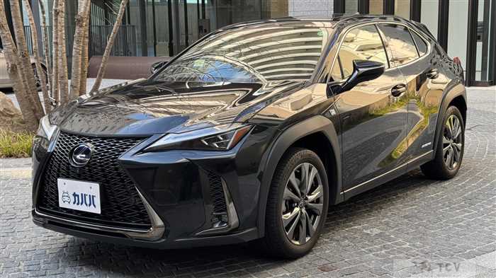 2021 Lexus UX