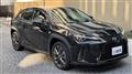 2021 Lexus UX