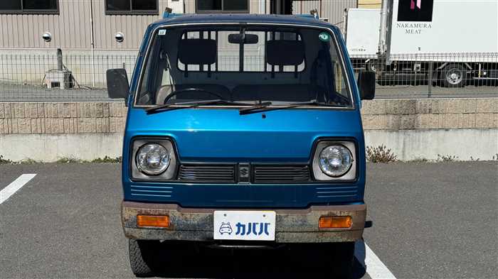 Suzuki Pegasus 1981 photo 2