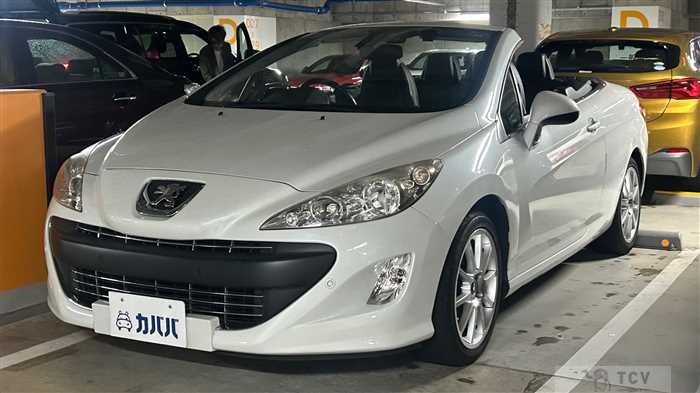 2009 Peugeot Peugoet Others