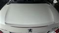 2009 Peugeot Peugoet Others