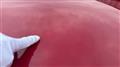 2004 Alfa Romeo 156