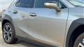 2024 Lexus UX