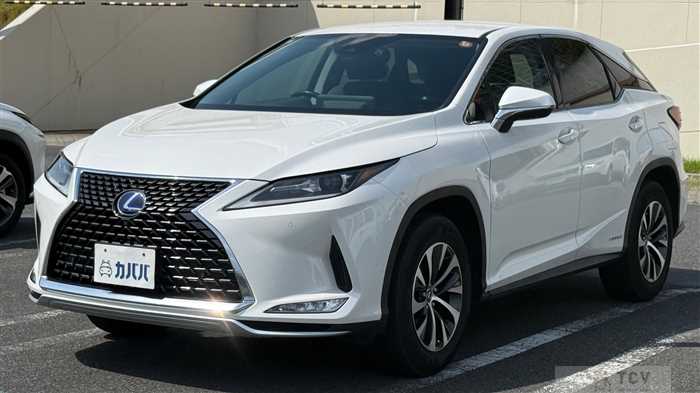 2019 Lexus RX