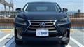 2014 Lexus NX