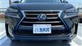 2014 Lexus NX