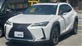 2019 Lexus UX