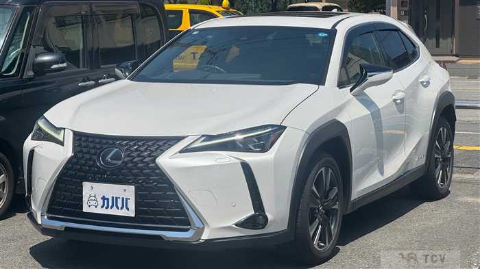 2019 Lexus UX