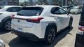 2019 Lexus UX
