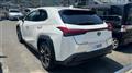 2019 Lexus UX