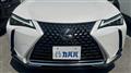 2019 Lexus UX
