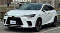 2025 Lexus RX