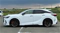 2025 Lexus RX