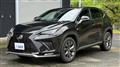 2018 Lexus NX