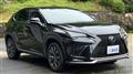2018 Lexus NX