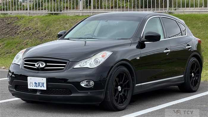 2010 Nissan Nissan Others