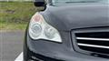 2010 Nissan Nissan Others
