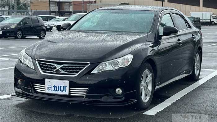 2010 Toyota Mark X