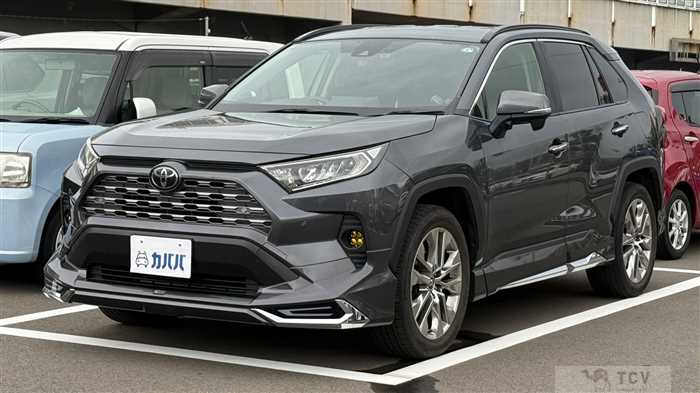 2019 Toyota RAV4