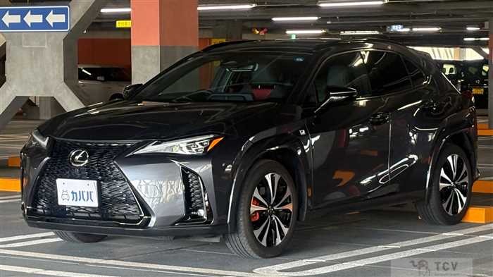 2025 Lexus UX