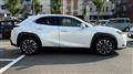 2025 Lexus UX