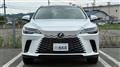 2025 Lexus RX