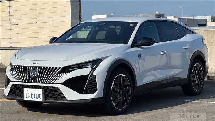 2024 Peugeot Peugoet Others