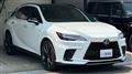 2025 Lexus RX