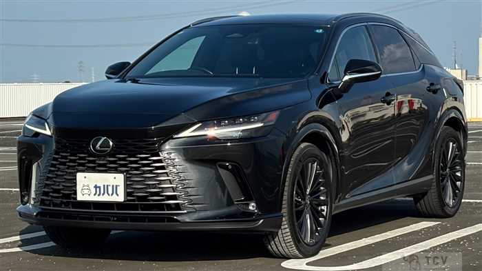 2024 Lexus RX