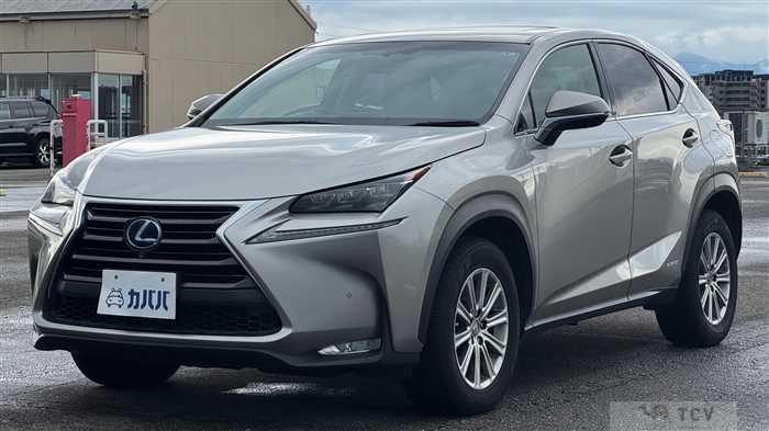 2015 Lexus NX