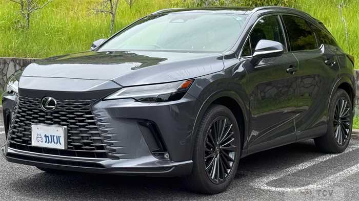 2024 Lexus RX