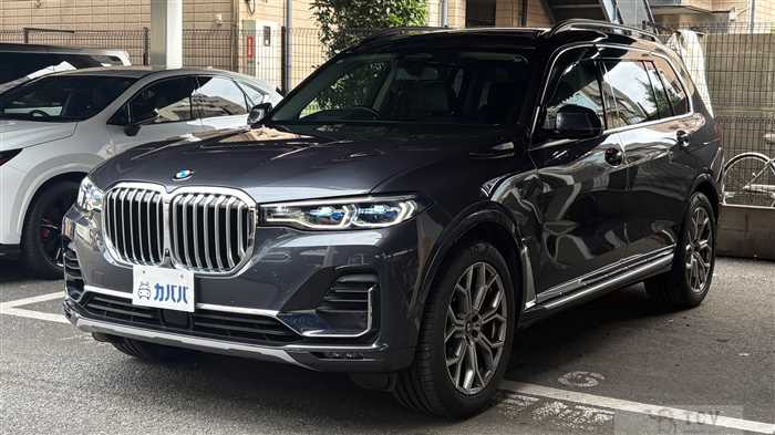 2019 BMW X7
